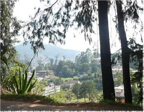 Images/tirupur3 212.jpg